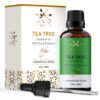 Tea Tree Essential Oil - Image 2